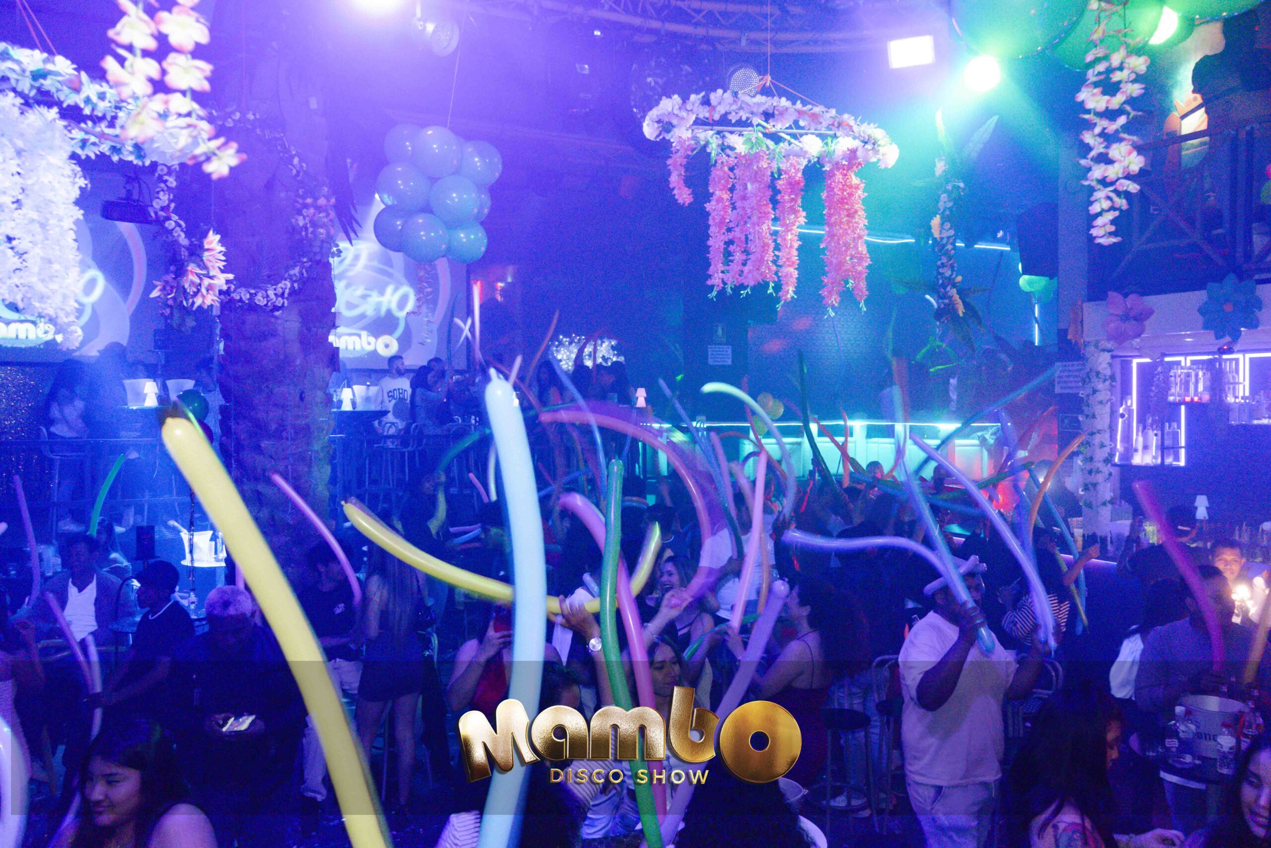 Mambodiscoshow_23-03-2024-39