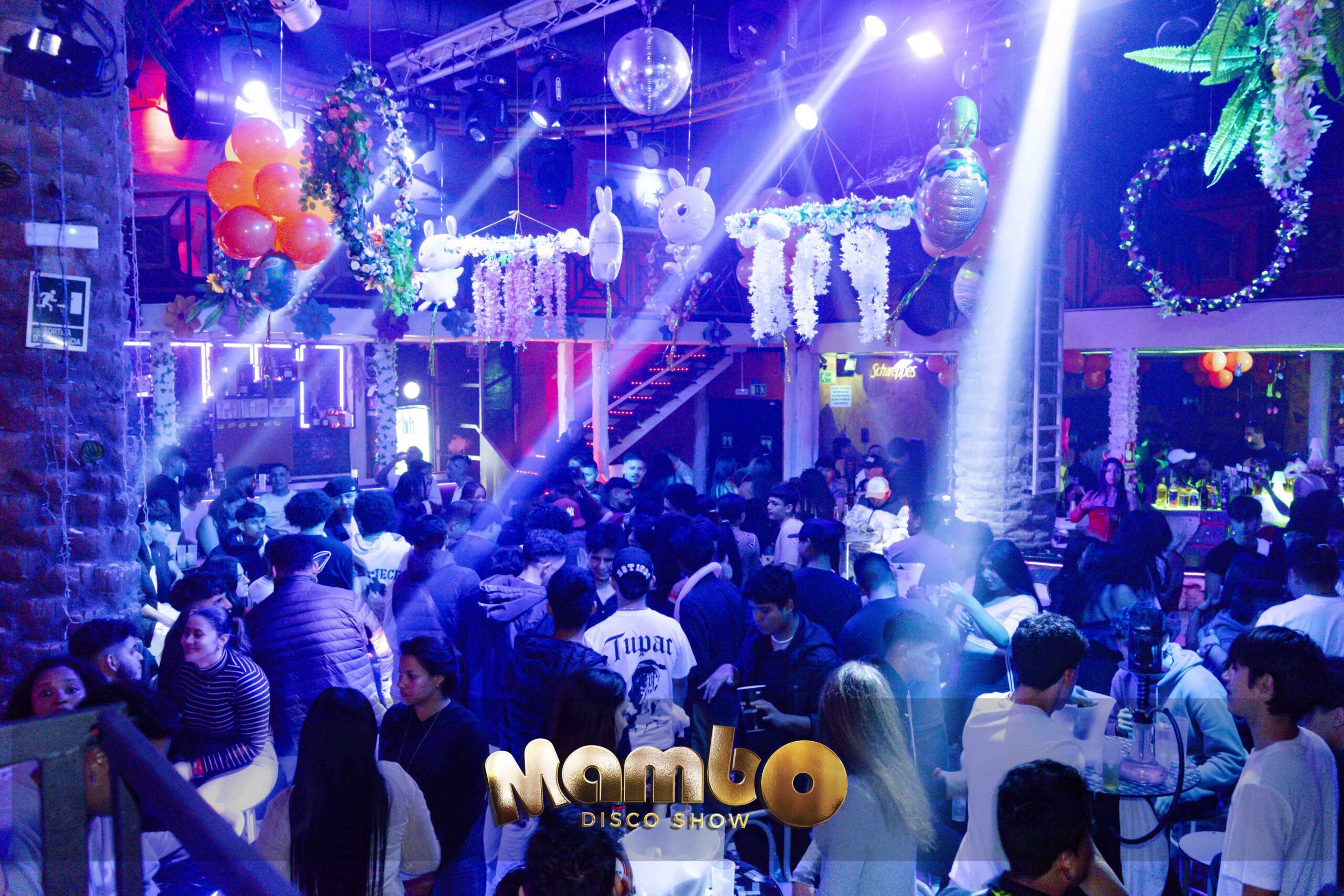 Mambodiscoshow_28-03-2024-32