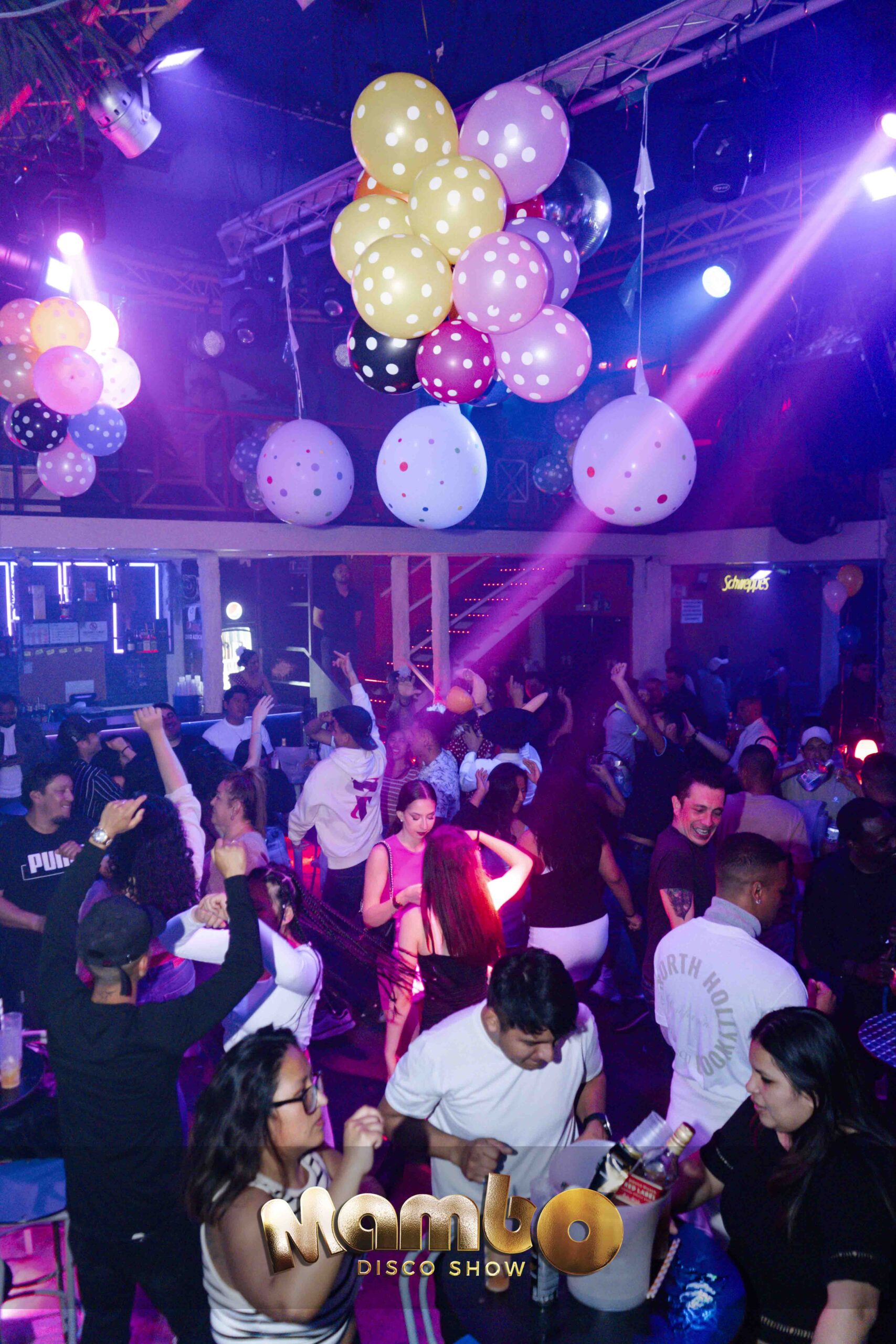 Mambodiscoshow 27-04-2024-14